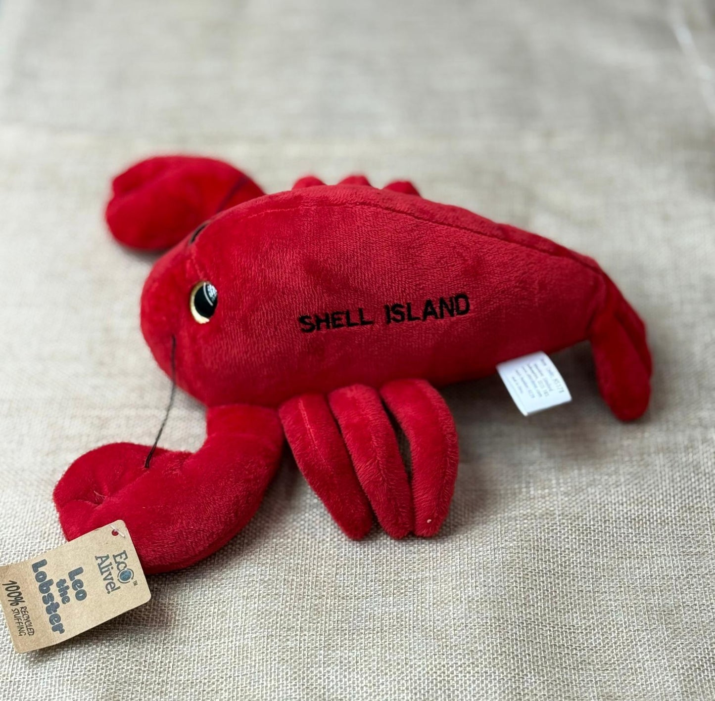 Shell Island Teddies